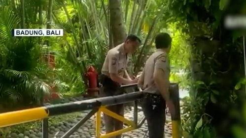 记者爆料巴厘岛事件视频,惊人细节揭露惊人真相