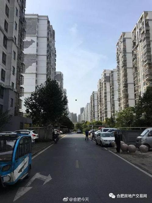 合肥滨湖小区最新爆料,揭秘神秘事件背后的真相